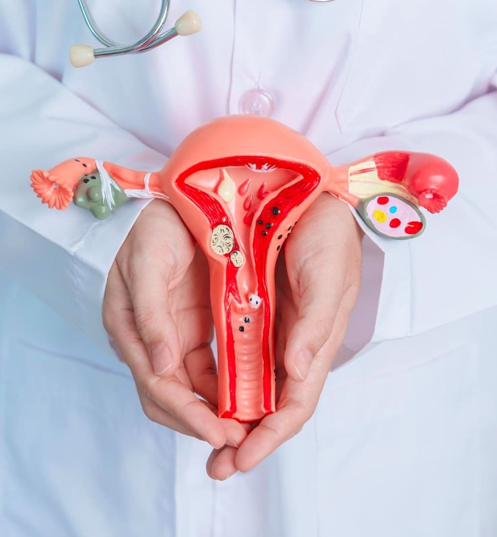 Dra. Indra Elizalde Torres, Experta en Ginecología y Obstetricia en CDMX